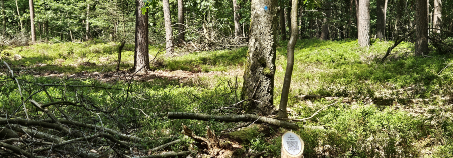 foto QR paaltje bij te sparen berk.